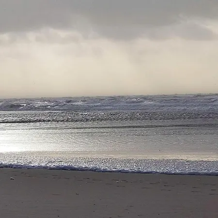 5 Star In Dom wakacyjny Vejers Strand