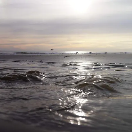 5 Star In Dom wakacyjny *