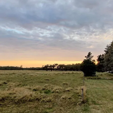 Dom wakacyjny 5 Star In *